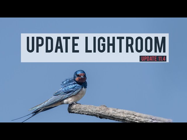 Update Lightroom Classic 11 4