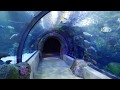 Virtual Walkthrough of the Virginia Aquarium