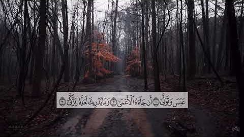 سورة عبس - إبراهيم العسيري
