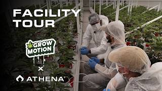 Full Facility Tour - Growmotion x Athena Ag - EN
