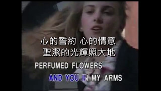 Karaoke-Rose Rose I Love You-玫瑰玫瑰我愛你 MMO-Ch.& Eng lyric