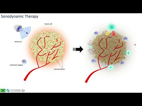 Vídeo: Quina diferència hi ha entre la porfirina i la protoporfirina?