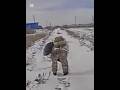 Magyar Birds footage edit