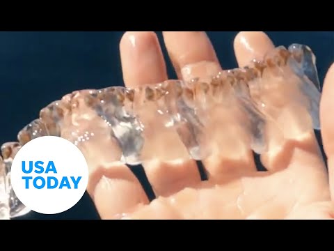 Paddleboarder sees an outlandish, weird sea salp in California waters | USA TODAY