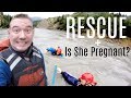 A RESCUE | IS SHE PREGNANT?| Somers In Alaska Vlogs