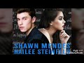 Shawn Mendes & Hailee Steinfeld - Stitches ft. Hailee Steinfeld