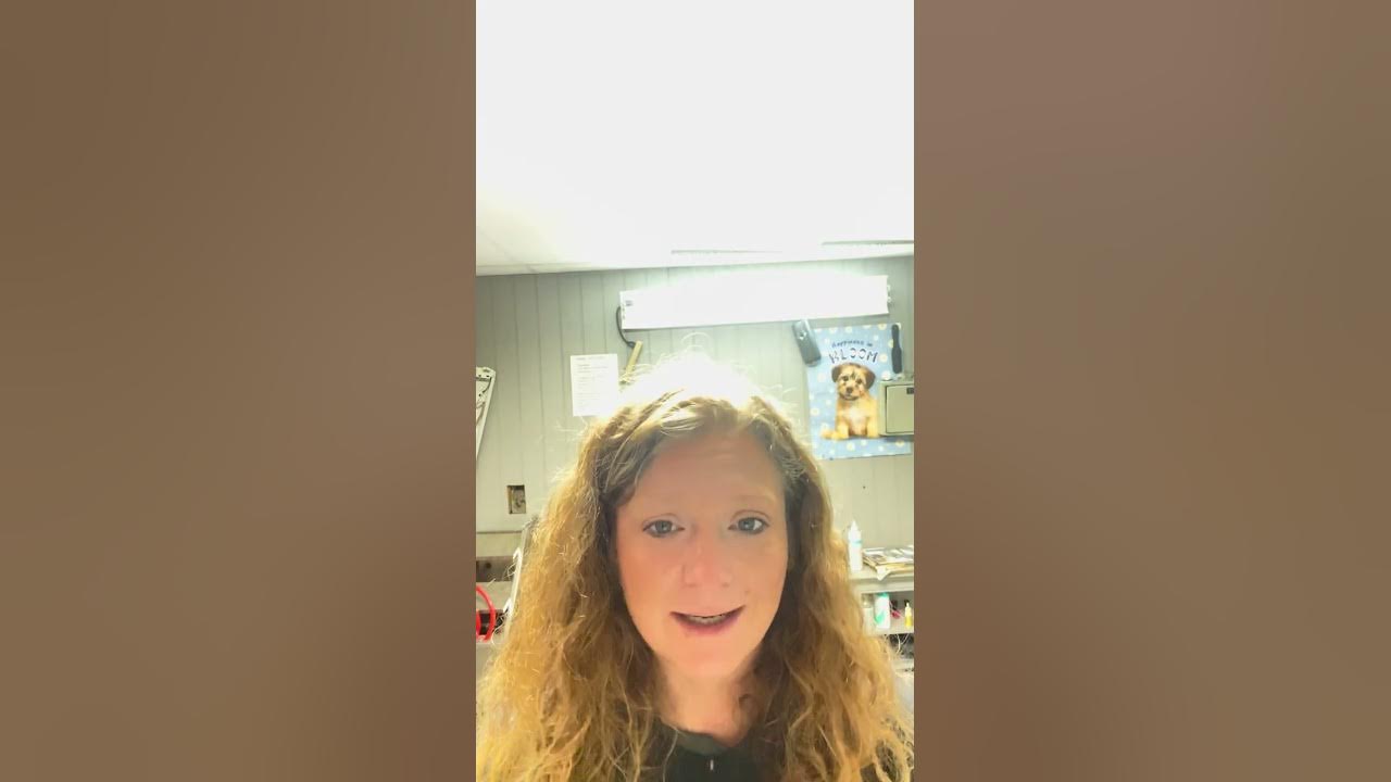 how-to-groom-my-dog-at-home-youtube