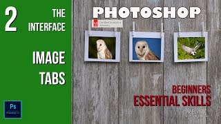 Tabbed Interface: Beginners Essential Skills