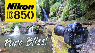 Nikon D850 | Elabana Falls | Australia's Hidden Gem!