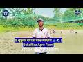 বড় পুকুরে ট্যাংরা মাছ আহরণ 🐟🌊 | JakaRiaz Agro Farm