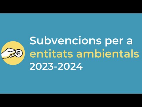 Vídeo: Auditoria d'iniciatives: descripció, finalitat, característiques i valor