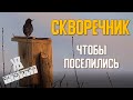 Скворечник своими руками. Три способа повесить скворечник. ЖКВ Саморучка