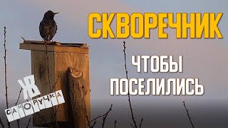 Скворечник своими руками. Три способа повесить скворечник. ЖКВ Саморучка