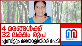 കോടികള്‍ സമ്പാദിക്കാവുന്ന ചന്ദനത്തെ എന്തിന് പേടിക്കുന്നു l sandal tree cultivation