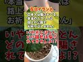 在日イラン人「本当のムスリムは母国の路上でお祈りはしません」「日本人は騙されてる」 #shorts