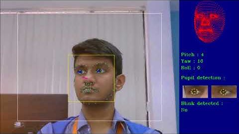Driver Monitoring Solution - Face detection, Head Pose estimation, Gaze tracking