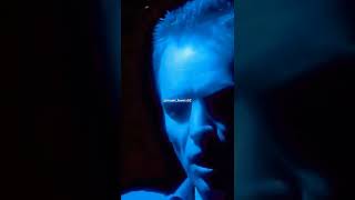 STING - Fields Of Gold #sting #fieldsofgold