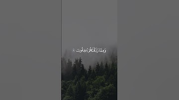 تلاوه عطرة من سوره السجده