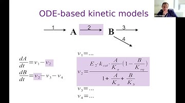 2025 CCB   COPASI modeling   Pedro Mendes