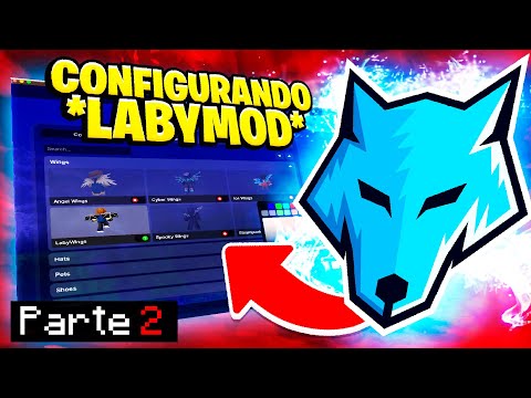 LABYMOD 4 -
