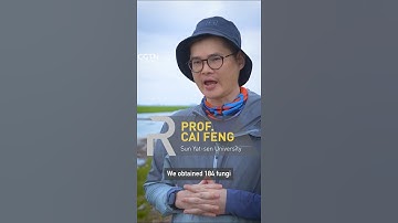 Could microbes clean up our plastic pollution?