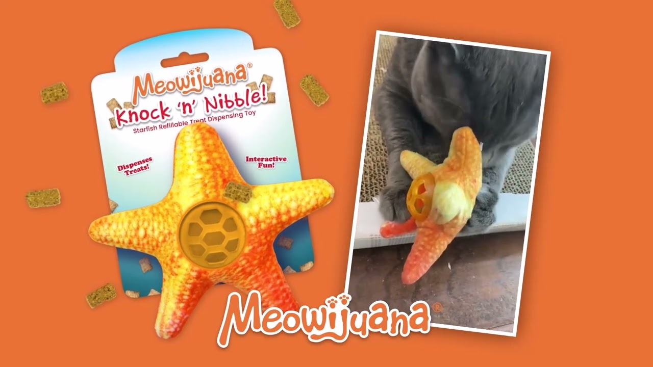 Refillable Treat Dispensing Starfish Cat Toy for Endless Fun