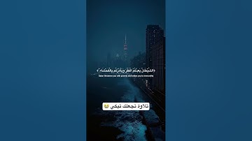 تلاوة هادئة ومؤثرة | سورة البقرة بصوت يقشعر له الابدان