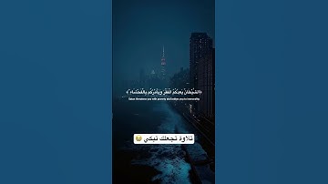 تلاوة هادئة ومؤثرة | سورة البقرة بصوت يقشعر له الابدان