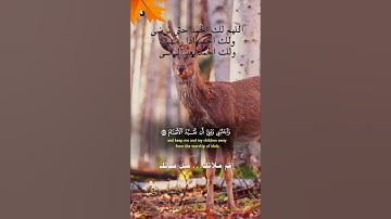 تلاوة خاشعة عطرة مباركة جميلة عذبة للشيخ خالد الجليل ماتيسر من سورة إبراهيم