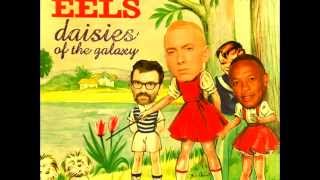 Video thumbnail of "Eels Ft. Dr. Dre & Eminem Forgot About E"