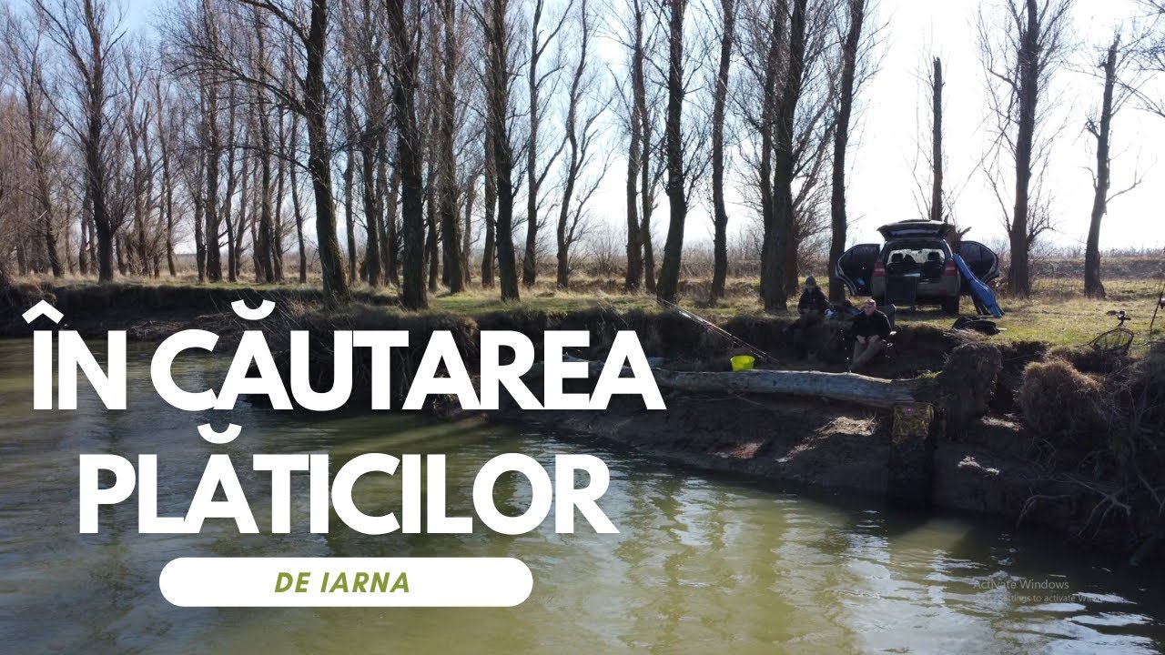 Pescuit la feeder iarna pe Dunare - Miscarea pestilor de la o zi la alta!