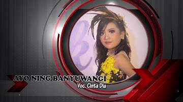 AYO NING BANYUWANGI - Cinta Dia (Officiall Video) ARI Music vol.1