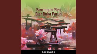 Download Lagu Pancingan Pleci Biar Buka Paruh Download Lagu Pancingan Pleci Biar Buka Paruh