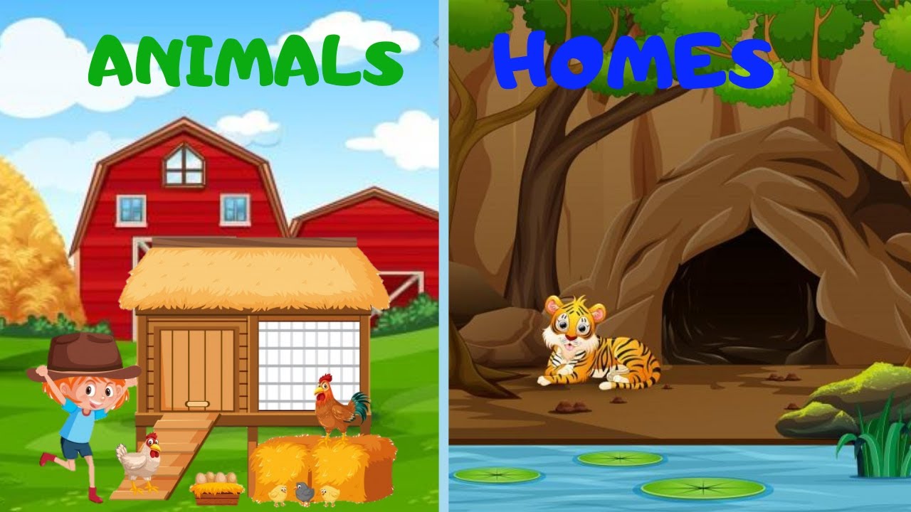 Learn Animals And Their Homes Preschool Learning YouTube learn-animals-and-their-homes-preschool-learning-youtube