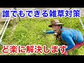 【これ植えるだけ】　草取りを楽にする方法教えます　　【カーメン君】【園芸】【ガーデニング】【初心者】【雑草】