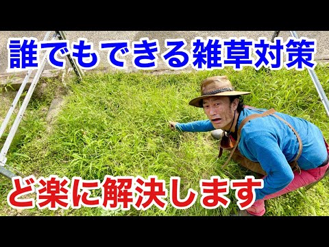 【これ植えるだけ】　草取りを楽にする方法教えます　　【カーメン君】【園芸】【ガーデニング】【初心者】【雑草】