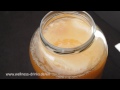 See a kombucha mother giving birth to a baby scoby  16 days time lapse
