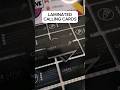 LAMINATED CALLING CARDS Contact us on Facebook IVEM DIGITAL PRINTING SERVICES for inquiries.#shorts