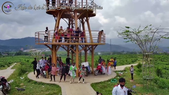 Khám phá đồi chè Tân Uyên Lai Châu Khám phá đồi chè Tân Uyên Lai Châu