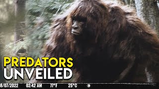 Most Startling Compilation of Trail Cam Creatures Yet