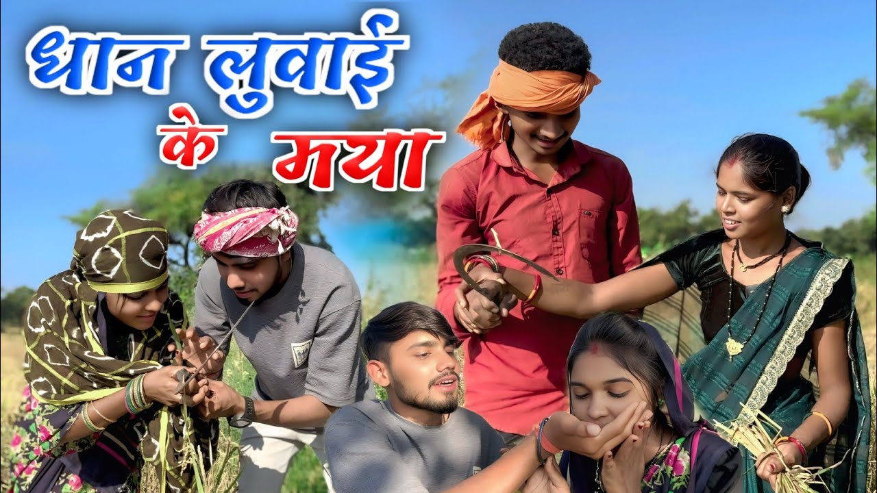 धान लुवाई के माया 🌾!! cg comedy video 😂!! धान कटाई छत्तीसगढ़ी कॉमेडी वीडियो