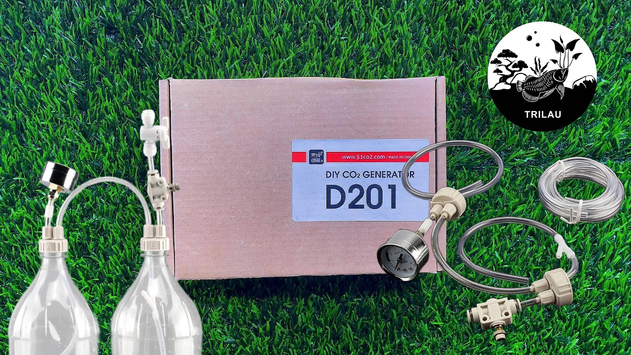 DIY CO2 for aquarium | 51CO2 | TRILAU 