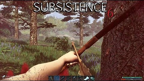 Do Not Tease The Rogues!!  |  Subsistence Gameplay  |  #29