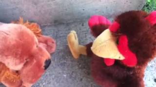 Webkinz Outside Randomness