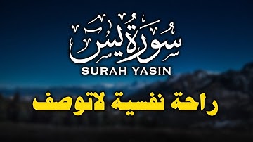 سورة يس | تلاوة خاشعه تملأ القلوب راحة و طمأنينة | للقارئ محمد ربيع