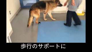 ナックルン装着動画