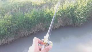 Canna da pesca penna Clearance