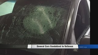 Victims Frustrated By Senseless Vandalism Bellevue