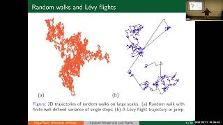 Celebrity Shigui Ruan: Spatiotemporal Dynamics Epidemic Models w/ Levy Flights Fractional Diffusion Approach Profile