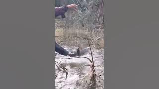 Iian Baung Maaui bubu kawat #fishing